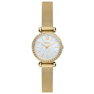 FOSSIL FBQ3898
