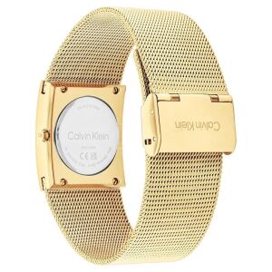 CALVIN KLEIN CK25100062