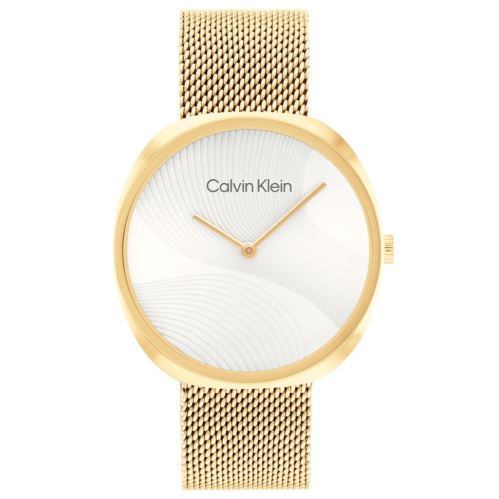 CALVIN KLEIN CK25200246
