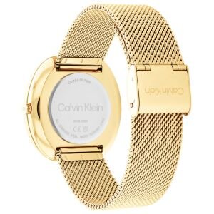 CALVIN KLEIN CK25200246
