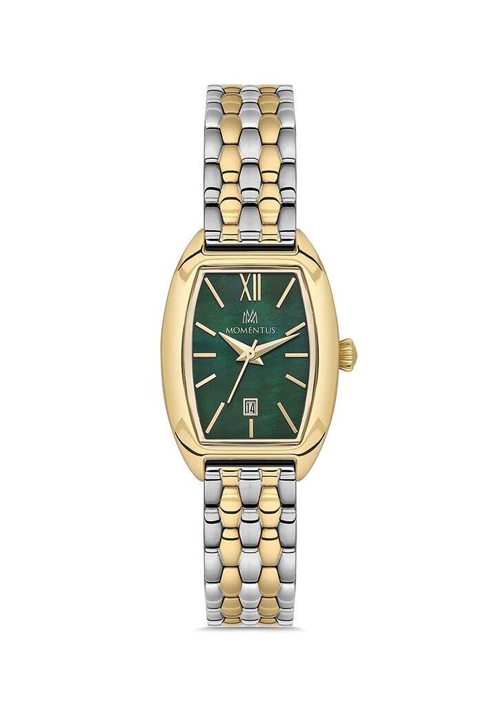 MOMENTUS CW310T-15SG