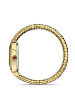 MOMENTUS SS256G-02SG