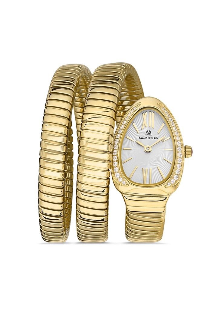 MOMENTUS SS256G-02SG