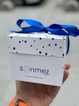 DANIEL KLEIN DK.1.13873-5