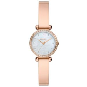 FOSSIL FBQ3894